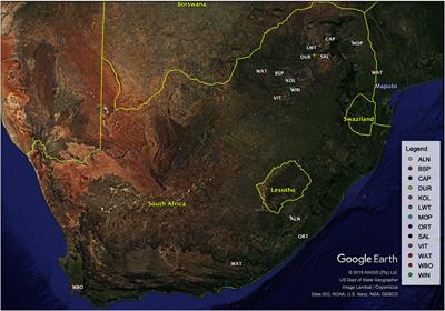 Genome Wide Assessment of Genetic Variation and Population Distinctiveness of the Pig Family in South Africa